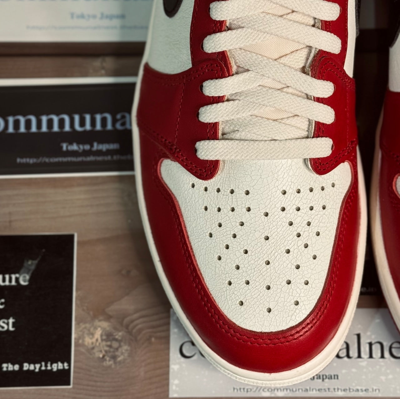 Neo Standard Shoelace [オートミール/Oatmeal]（伸びるシューレース）