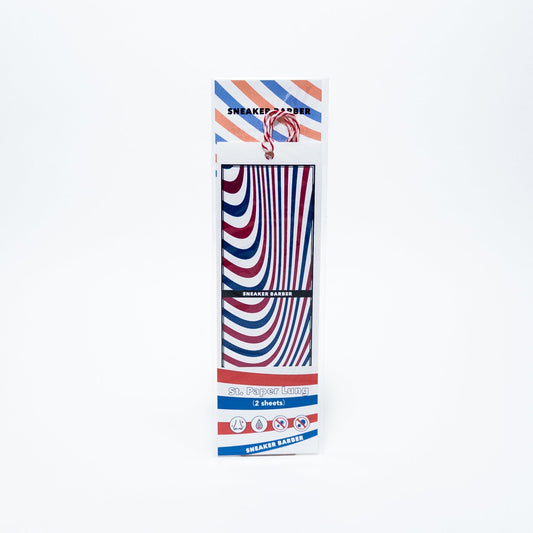 [公式ストア限定] St. Paper Lung 消臭調湿シューシート（2枚組）